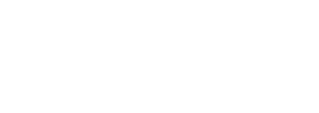 Charter Flight Support logo