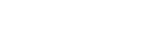 aviowiki logo