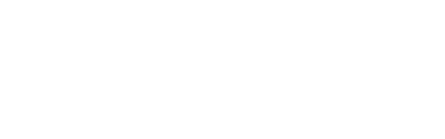 Charter Flight Support logo