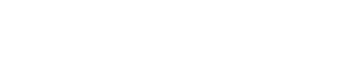 FL3XX logo
