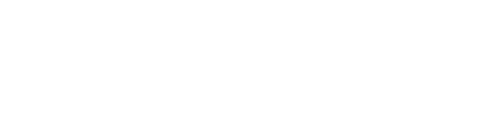 RISE logo